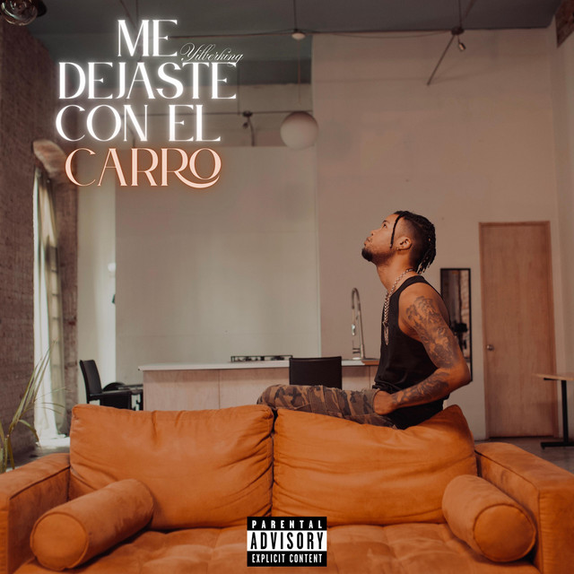 Me Dejaste Con El Carro cover art