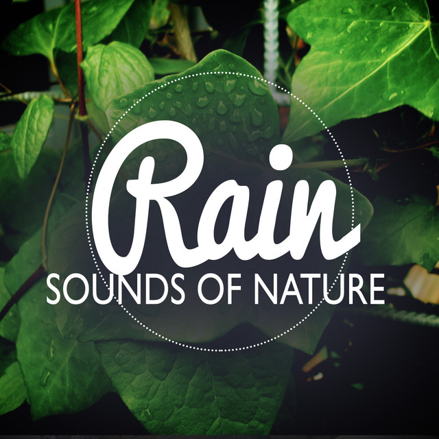 Sounds of Nature: Rain cover art