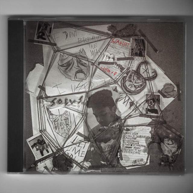 Scarlett Letters cover art
