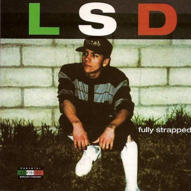 Fully Strapped cover art