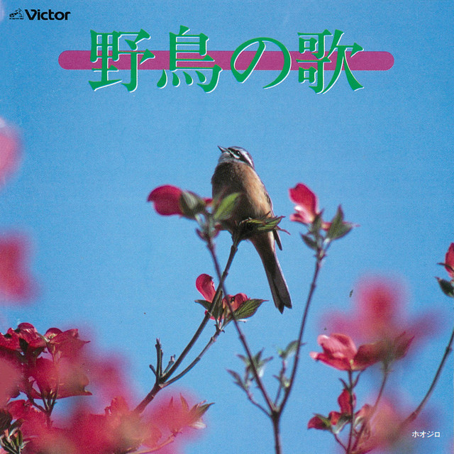 自然音