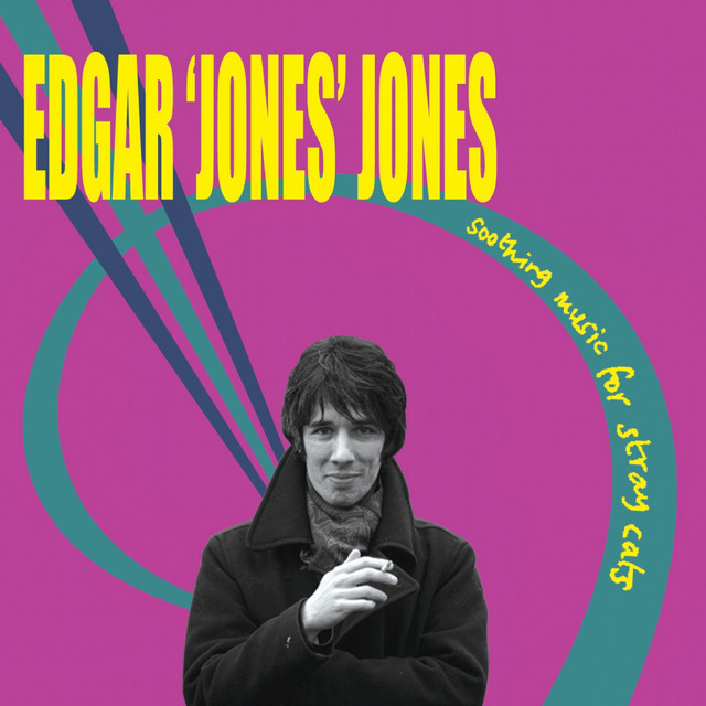Soothing Music for Stray Cats cover art