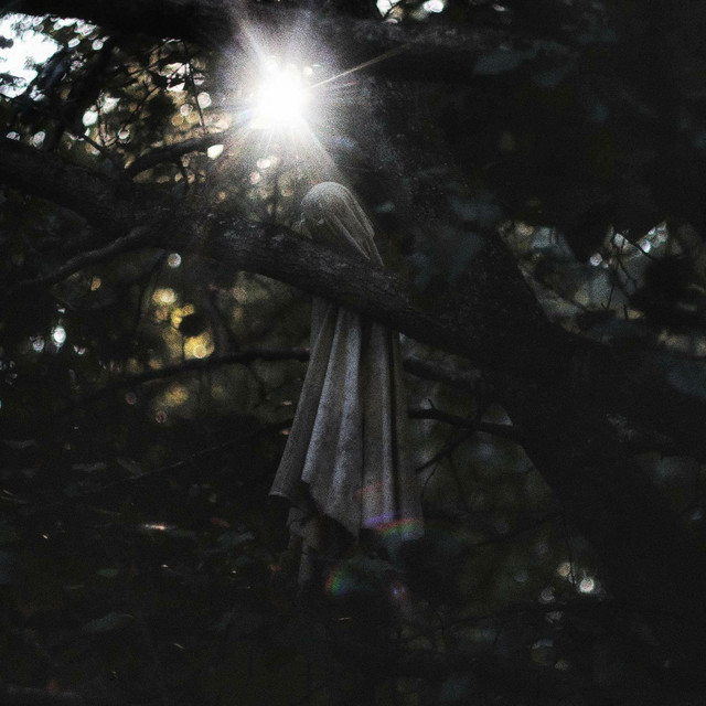 Dreamata cover art