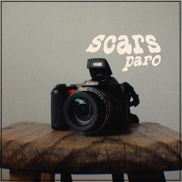 Scars cover art