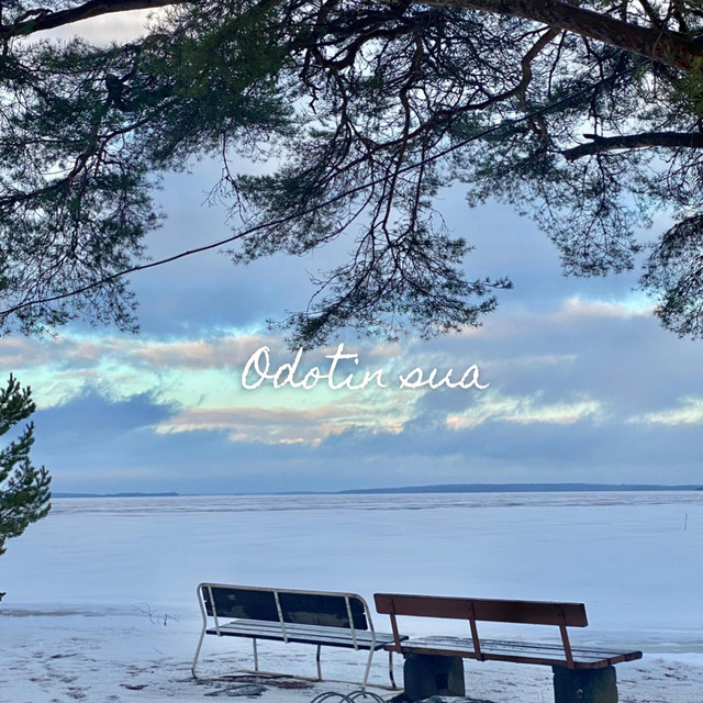 Odotin sua cover art