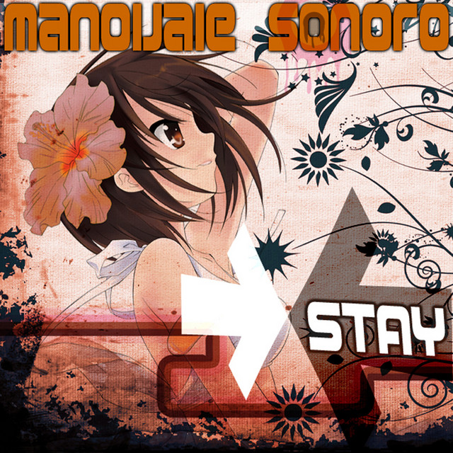 Stay cover