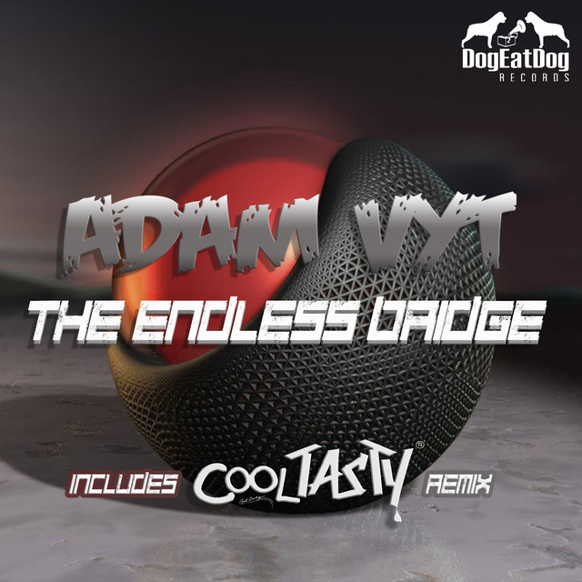 The Endless Bridge - CoolTasty Remix album art