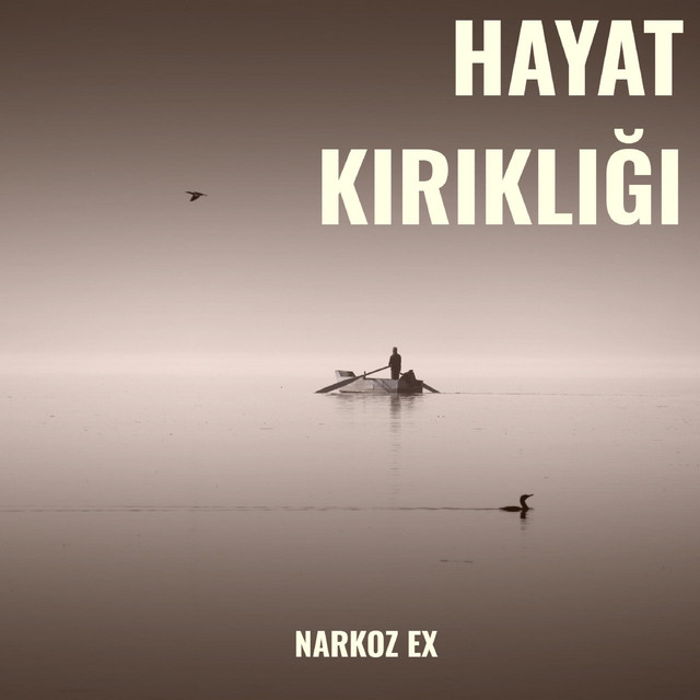 Hayat Kırıklığı cover art