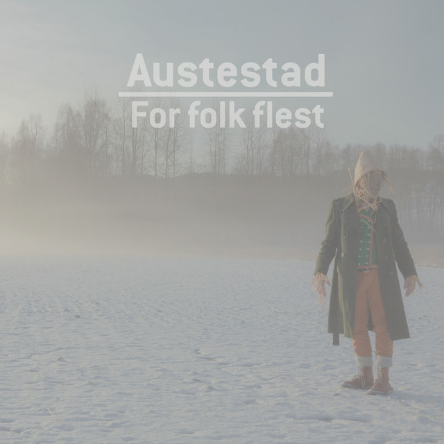 For Folk Flest cover art