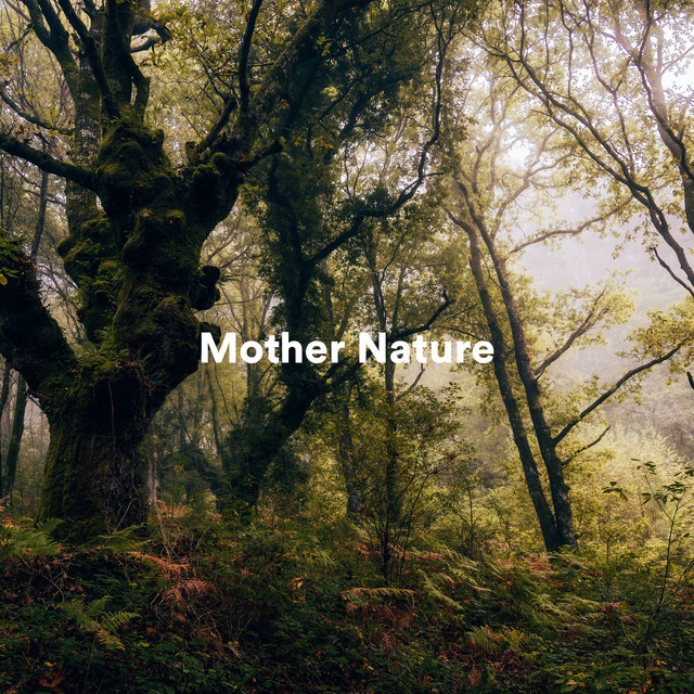 Mother Nature cover art