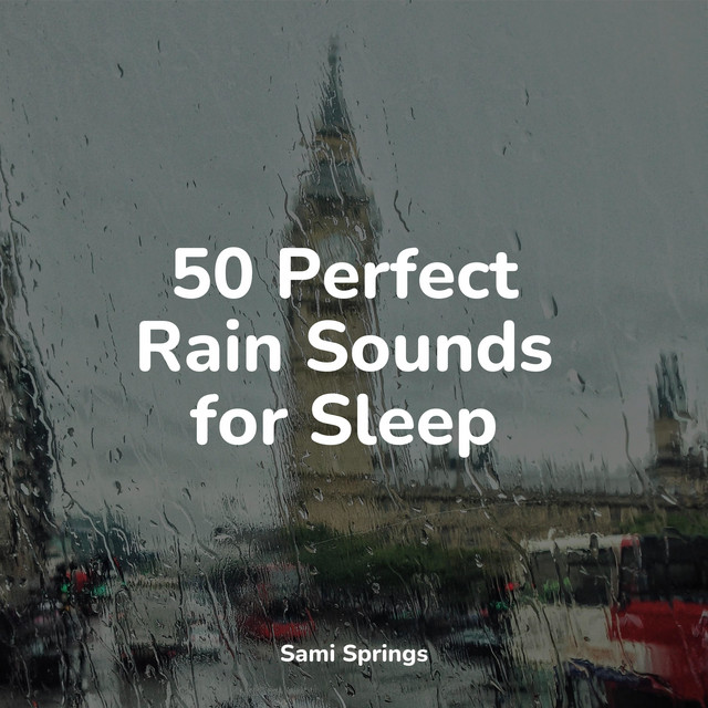 50 Relaxing Winter Rain Sounds - Album by Deep Horizon Waves | Spotify