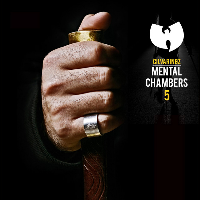 Mental Chambers V cover art