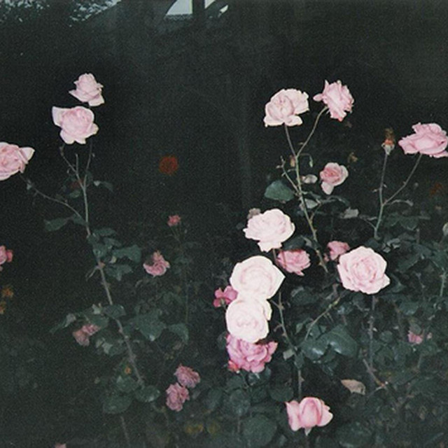 i love you cover art
