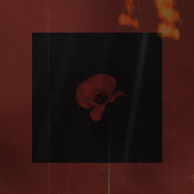 Medianoche en espiral cover art