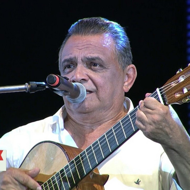 Fiesta Nacional del Chamamé 2017 cover art