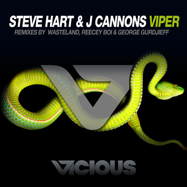 Viper - George Gurdjieff Remix cover art