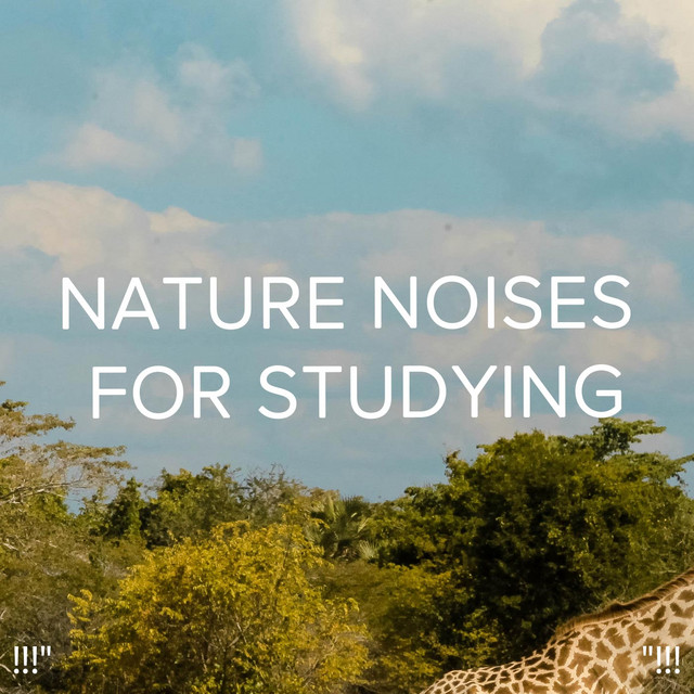 Nature noises for studying"!!! - Album by Nature Sounds Nature Music ...