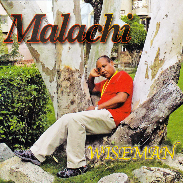 Yard cover art