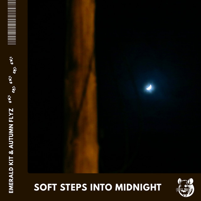 Soft Steps Into Midnight