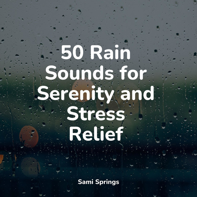50 Sounds of Rain for Sleep and Meditation - Album by Lluvia PQ | Spotify