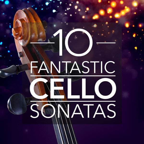 Sonata in G Minor for Cello and Piano, Op. 65: III. Largo