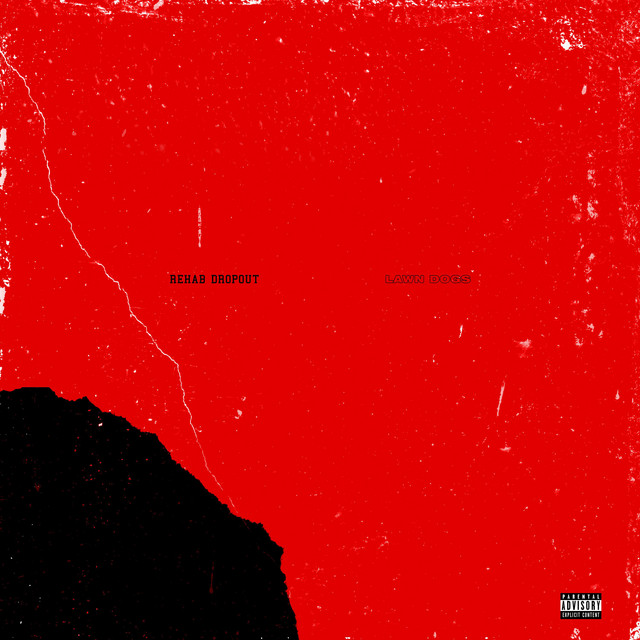 REHAB DROPOUT cover art