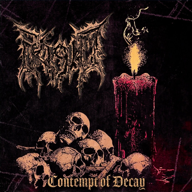 Contempt of Decay cover art