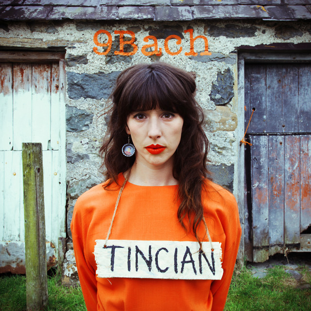 Tincian cover art