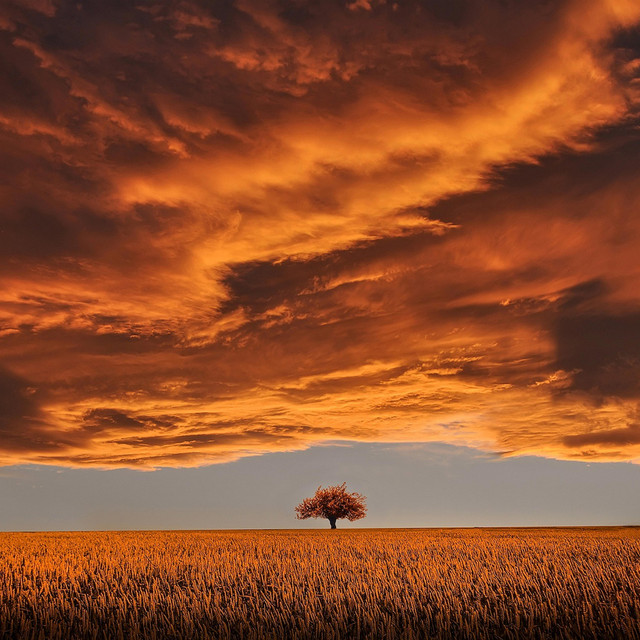 exploding sky cover art
