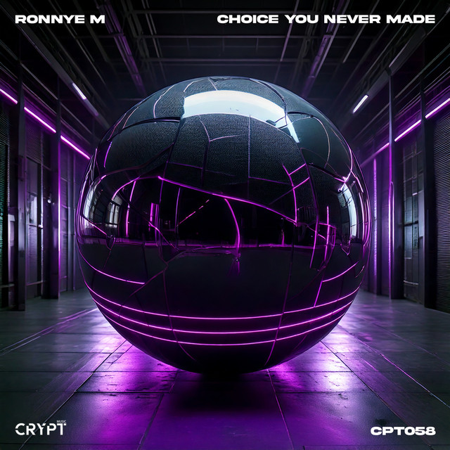 Choice You Never Made - Radio-Edit