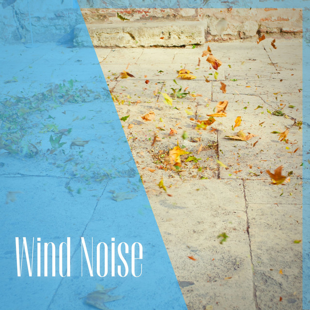 Wind Noise, Healing White Noise cover art