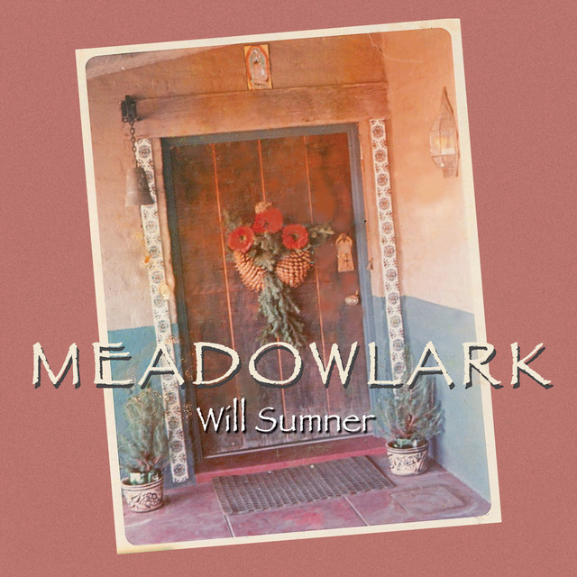 Meadowlark cover