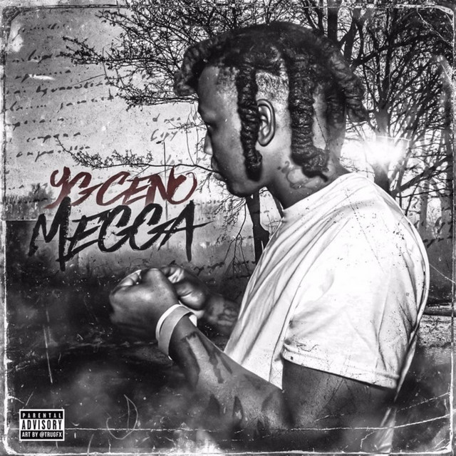 MEGGA TAPE cover art