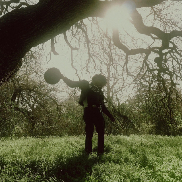 Mr. Bamboo cover art