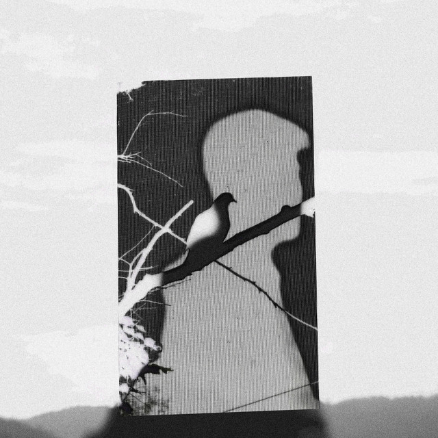People can fly cover art