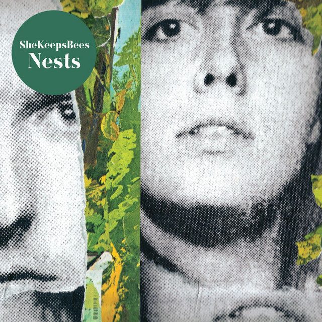 Nests cover art
