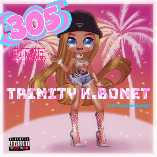 305 Live cover