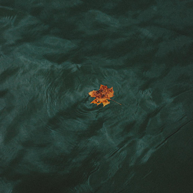 Обкладинка: Water — Uno Kaya