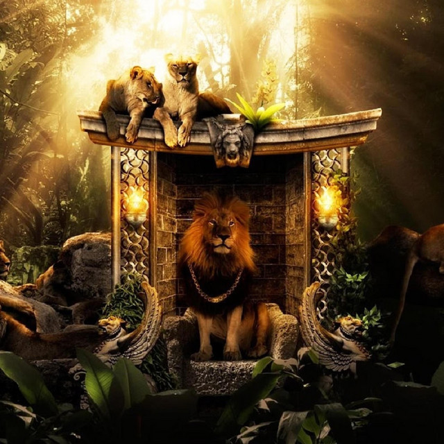 Jungle cover