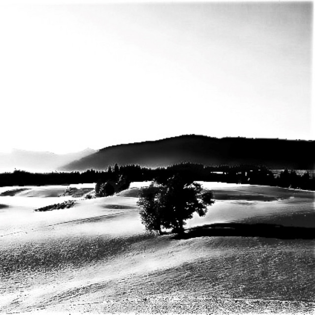 Make haste slowly. cover art