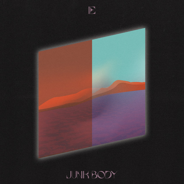 Junk Body cover art