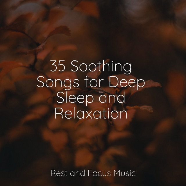 35 Soothing Songs for Deep Sleep and Relaxation - Album by Meditação ...