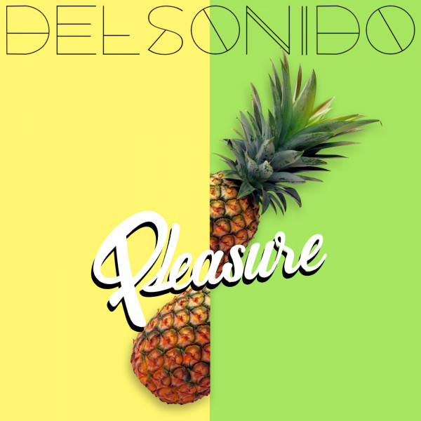Pleasure cover art
