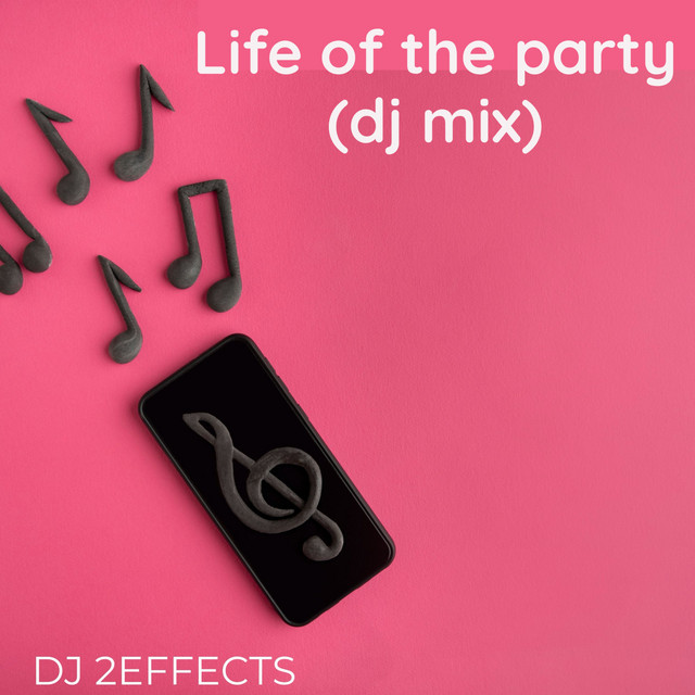 Life of the Party (DJ Mix) cover art