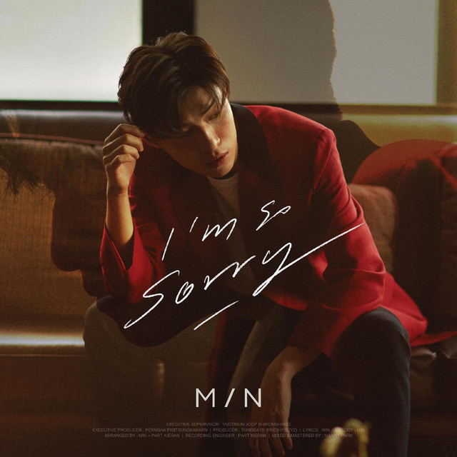 I'm So Sorry cover art