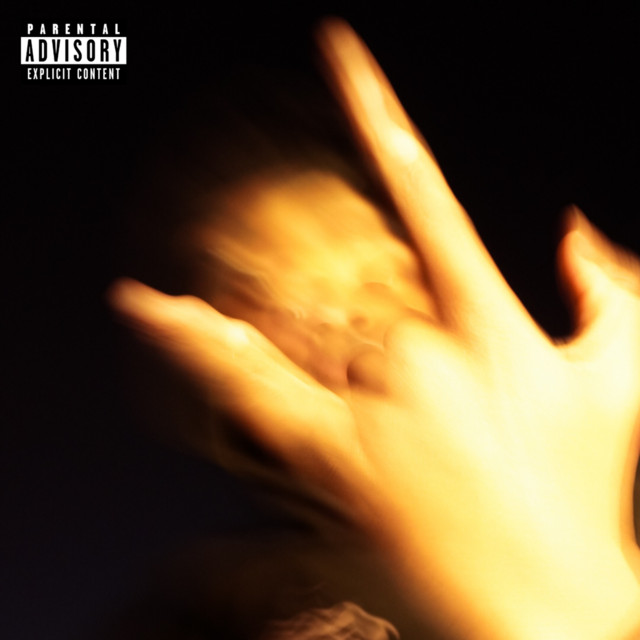 BAVIASKO II cover art