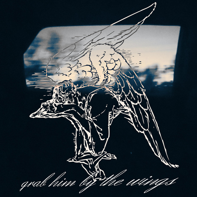 Grab Him by The Wings cover art