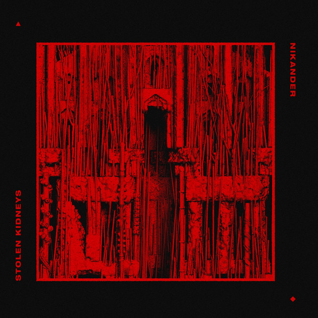 Nikander - stolen kidneys cover
