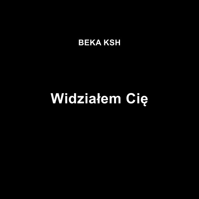 Widziałem Cię cover