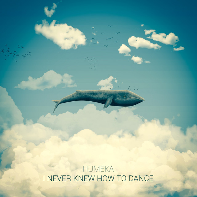 I Never Knew How to Dance cover